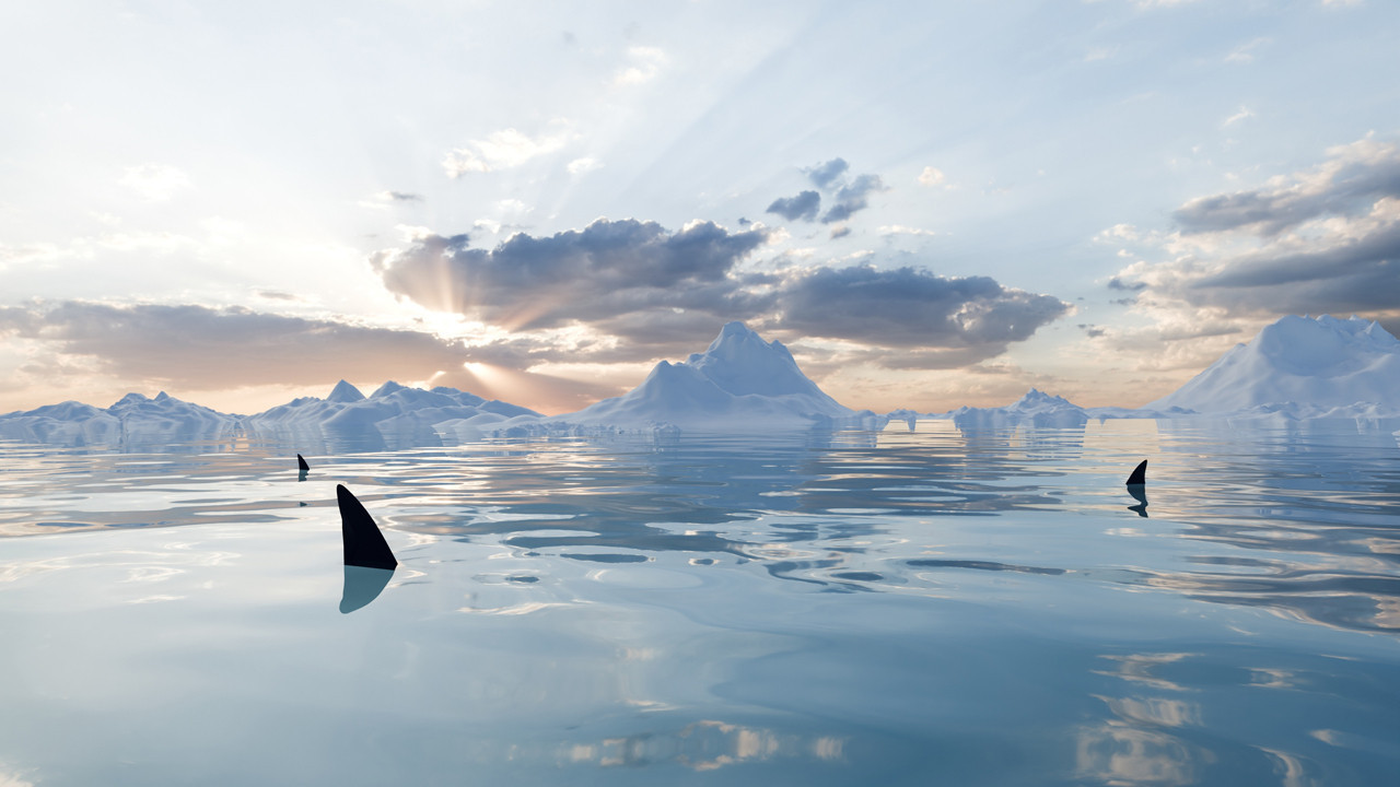 "Asla yaşayamaz" denilen yerde ortaya çıktı: Antarktika’da büyük sürpriz