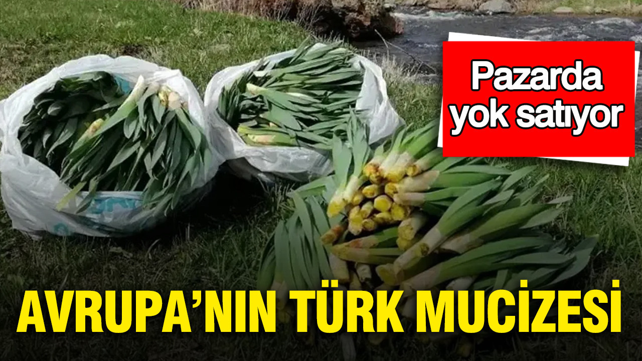 Avrupa’nın Gözde Bitkisi: Yüzyıllardır Bilinen Çiriş Otu Yeniden Gündemde