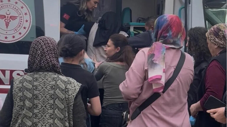 aydin-efelerde-korkutan-yangin-dumandan-etkilenen-yasli-kadin-hastaneye-kaldirildi-EtA3M5ue