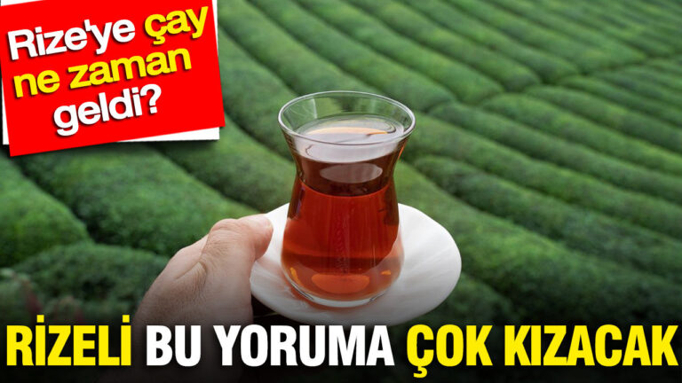 cay-rizeye-ne-zaman-geldi-rizeli-bu-yoruma-cok-kizacak-HNHJGb91