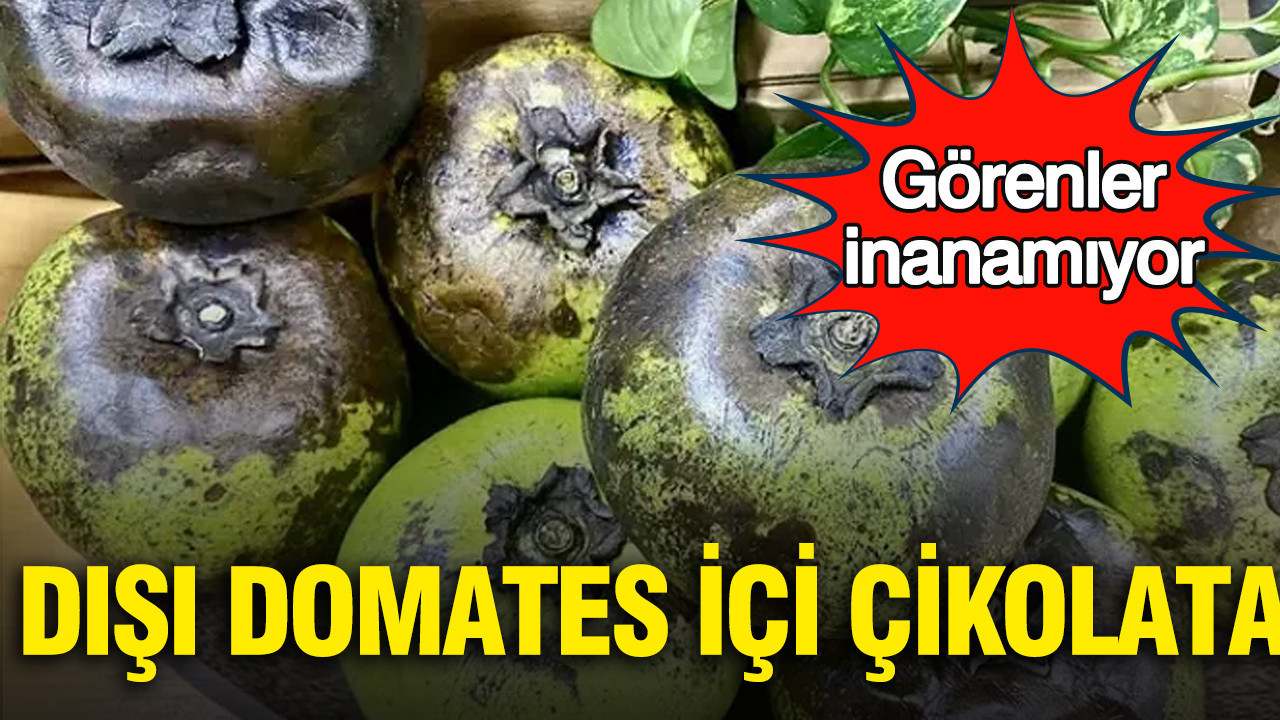 Dış Görünümüyle Şaşırtan Black Sapote: Çikolata Lezzetiyle Tanışın