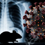 dsoden-aciklama-geldi-hantavirus-yeni-bir-salgina-neden-olabilir-mi-cZGKDvRc