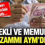emekli-ve-memurun-zammi-aymde-15-milyon-tl-talep-edildi-3umeUMcI